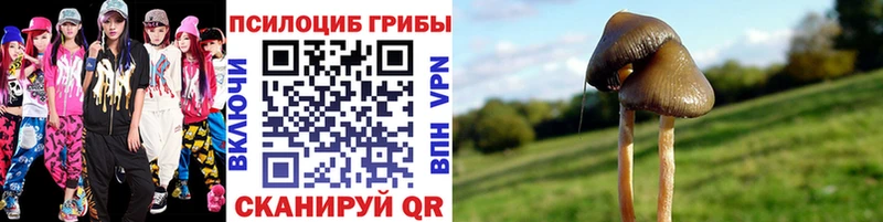 Псилоцибиновые грибы MAGIC MUSHROOMS Купить где Рославль